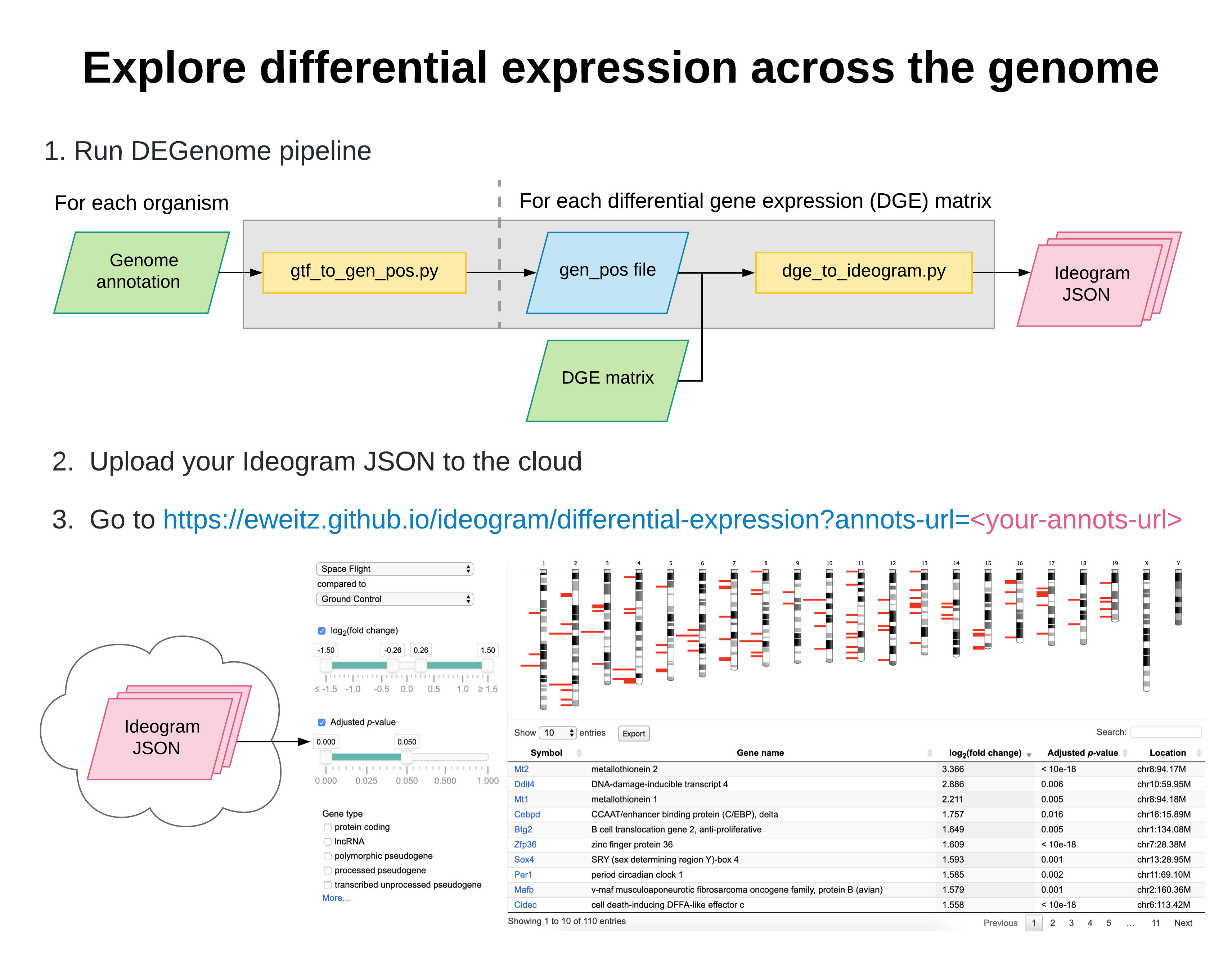 Explore differential expression across the genome
